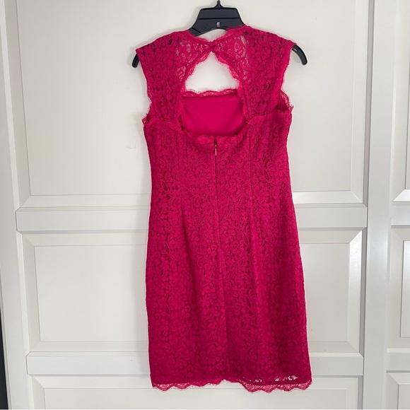 Adrianna Papell Pink Lace Sheath Dress Size 6 26534 - Picture 3 of 9